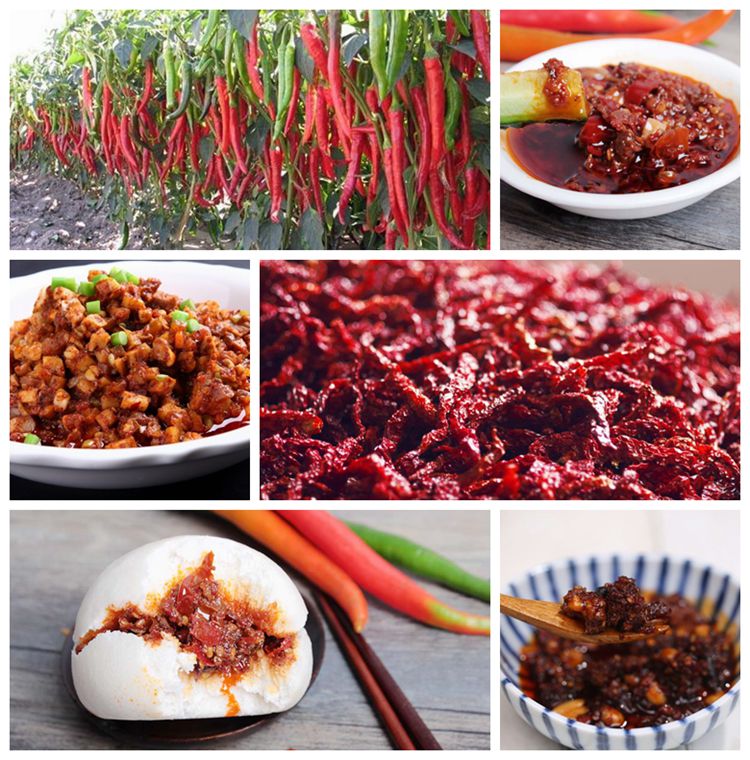 Xi'an ChinslicKing Food Co., Ltd.